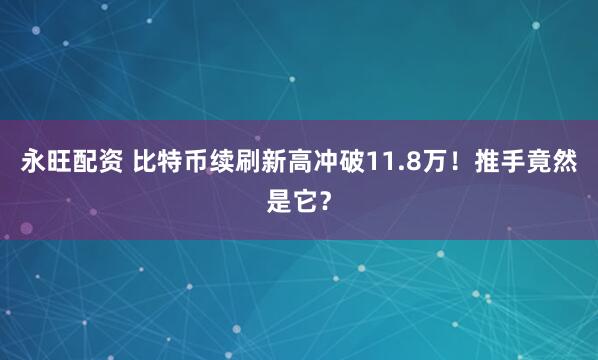 永旺配资 比特币续刷新高冲破11.8万！推手竟然是它？