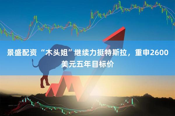 景盛配资 “木头姐”继续力挺特斯拉，重申2600美元五年目标价