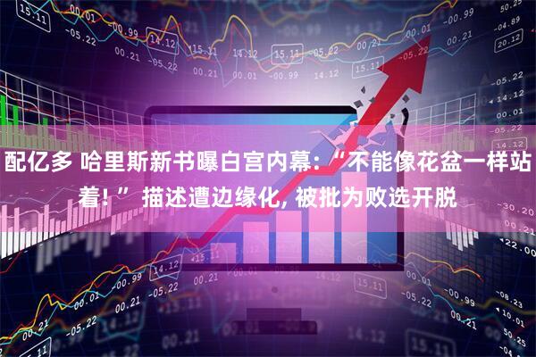 配亿多 哈里斯新书曝白宫内幕: “不能像花盆一样站着! ” 描述遭边缘化, 被批为败选开脱