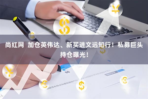 尚红网  加仓英伟达、新买进文远知行！私募巨头持仓曝光！