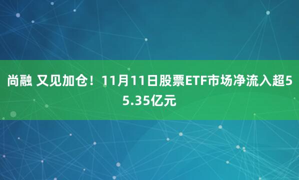 尚融 又见加仓！11月11日股票ETF市场净流入超55.35亿元