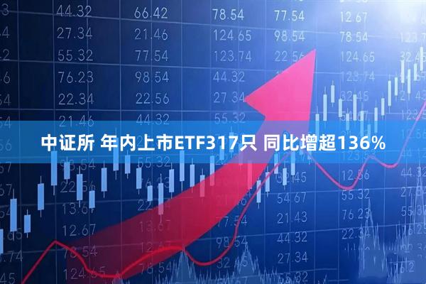 中证所 年内上市ETF317只 同比增超136%