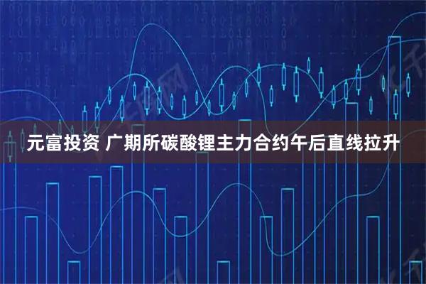 元富投资 广期所碳酸锂主力合约午后直线拉升